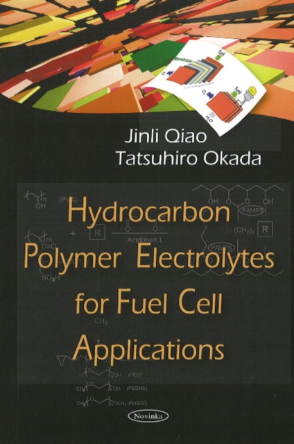 Hydrocarbon Polymer Electrolytes for Fuel Cell Applications, Paperback / softback Book