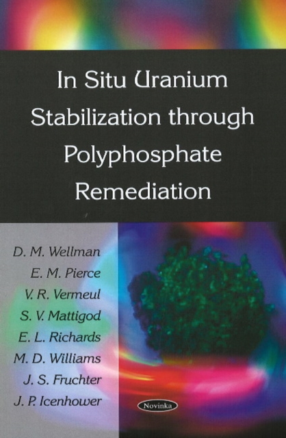 In Situ Uranium Stabilization Through Polyphosphate Remediation, Paperback / softback Book