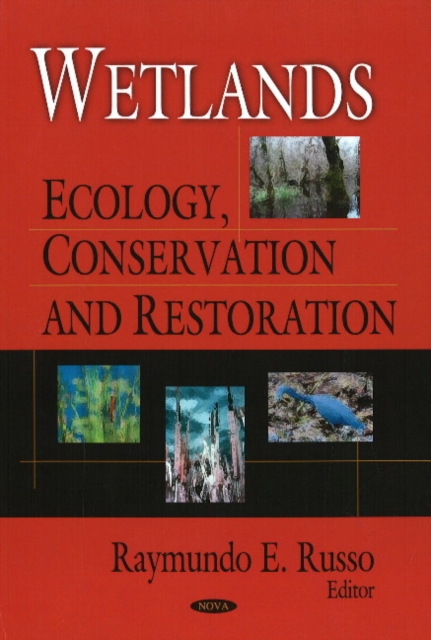 Wetlands : Ecology, Conservation & Restoration, Hardback Book