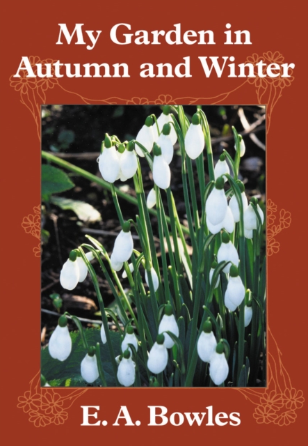 My Garden in Autumn and Winter, Paperback Book