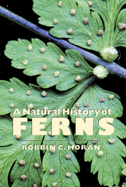A Natural History of Ferns, Paperback / softback Book