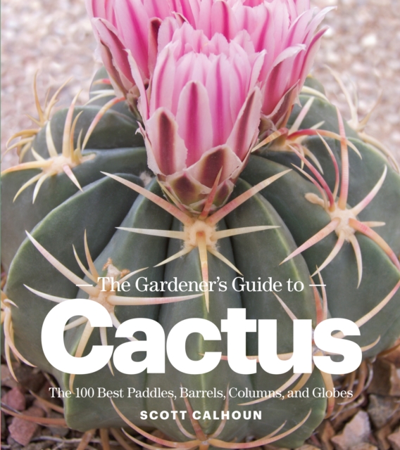 Gardener's Guide to Cactus, Paperback / softback Book