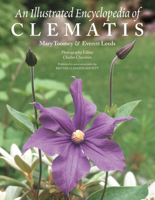 An Illustrated Encyclopedia of Clematis, Paperback / softback Book
