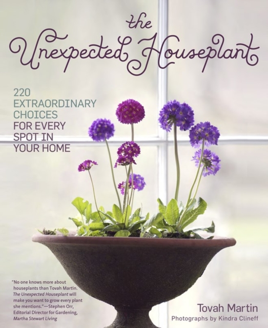 The Unexpected Houseplant : 220 Extraordinary Choices for Every Spot in Your Home, Paperback / softback Book