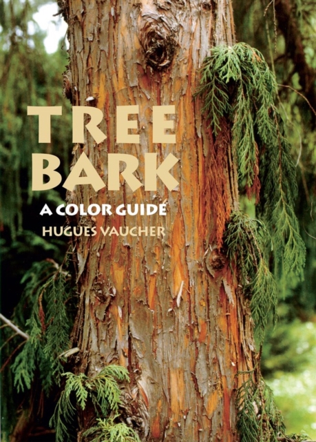 Tree Bark : A Color Guide, Paperback / softback Book