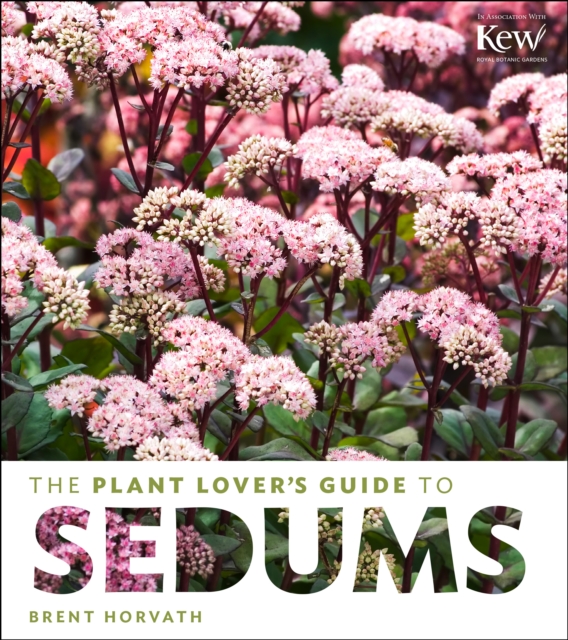Plant Lover's Guide to Sedums, Hardback Book