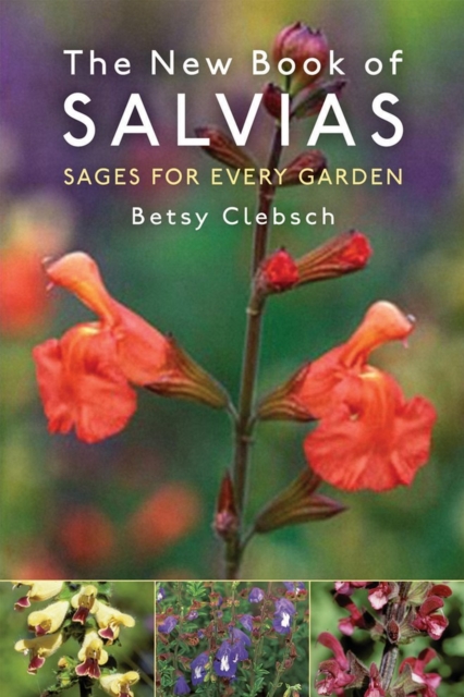 The New Book of Salvias : Sages for Every Garden, Paperback / softback Book