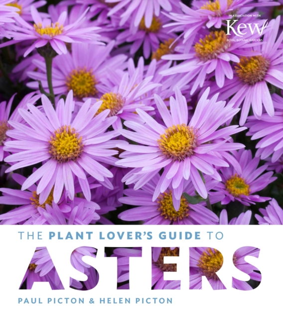 Plant Lover's Guide to Asters, Hardback Book