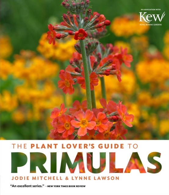Plant Lover's Guide to Primulas, Hardback Book