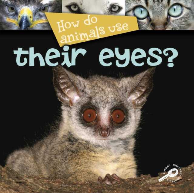 How Do Animals Use... Their Eyes?, PDF eBook