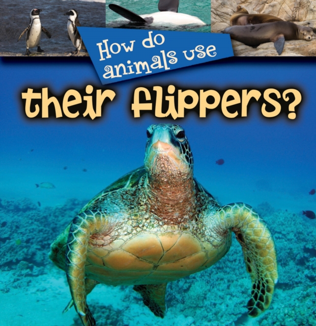 How Do Animals Use... Their Flippers?, PDF eBook