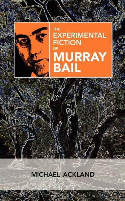 The Experimental Fiction of Murray Bail, Hardback Book