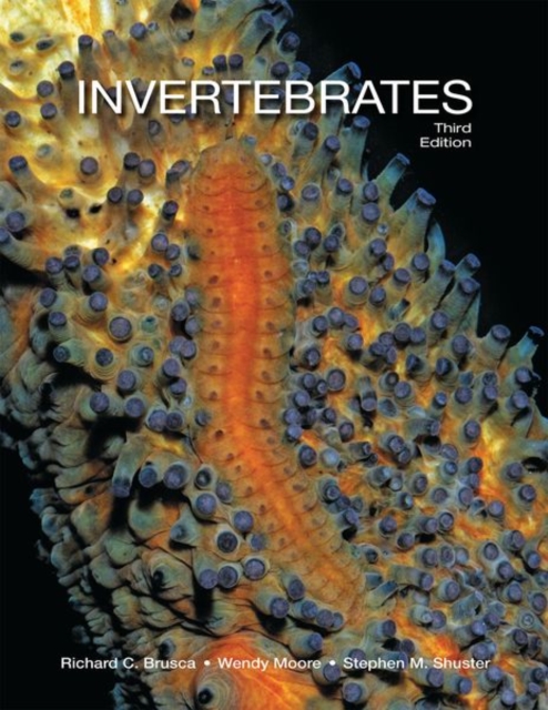 Invertebrates, Hardback Book
