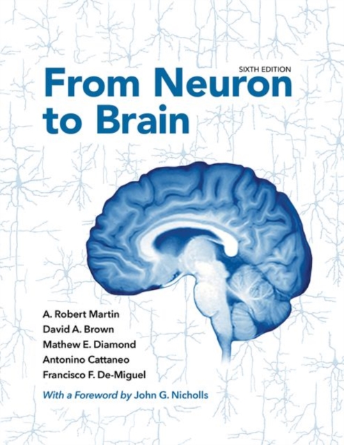 From Neuron to Brain, Hardback Book