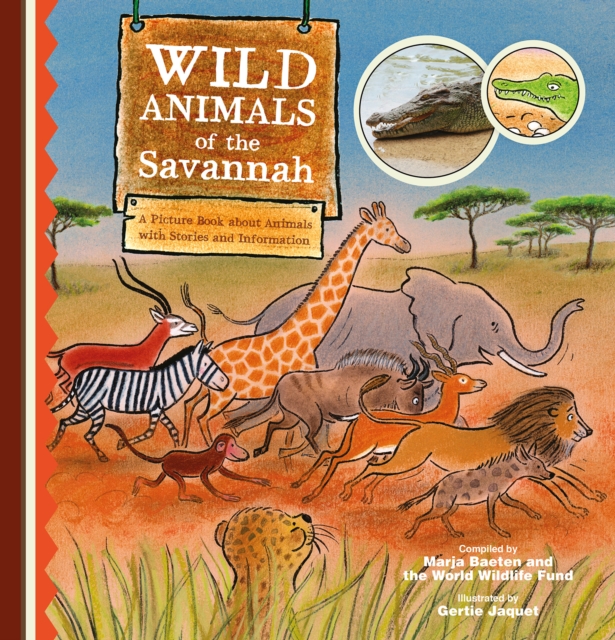 Wild Animals of the Savannah. A Picture Book about Animals with Stories and Information, Hardback Book