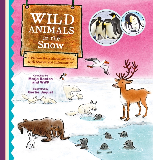 Wild Animals in the Snow. A Picture Book about Animals with Stories and Information, Hardback Book