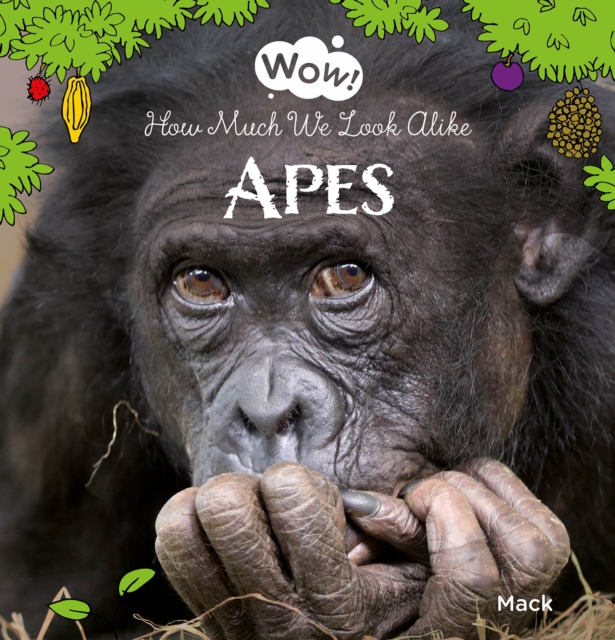 Wow! Apes. How Much We Look Alike, Hardback Book