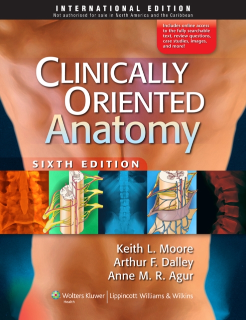 Clinically Oriented Anatomy, Paperback Book