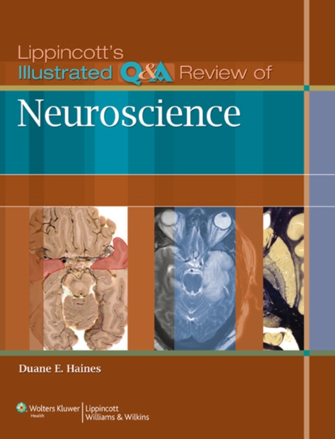 Lippincott's Illustrated Q&A Review of Neuroscience, Paperback / softback Book