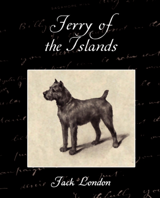 Jerry of the Islands, Paperback / softback Book