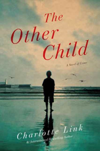 The Other Child - A Novel,  Book