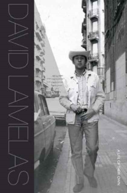 David Lamelas - A Life of Their Own, Hardback Book