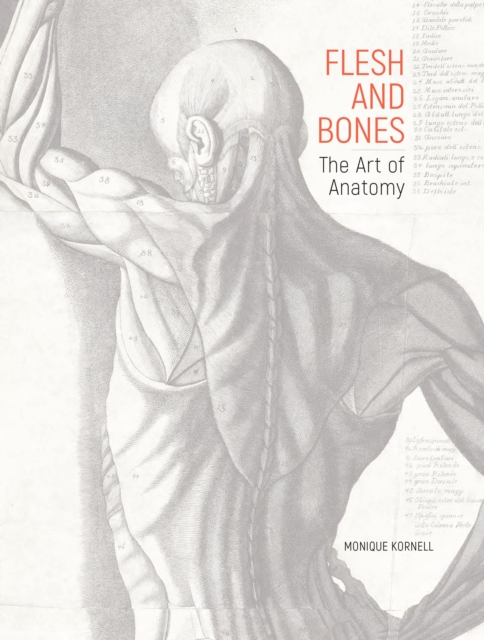 Flesh and Bones : The Art of Anatomy, PDF eBook