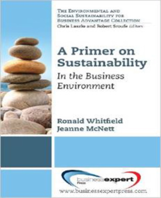 A Primer on Sustainability, Paperback / softback Book