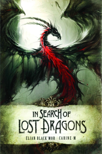 In Search of Lost Dragons, Hardback Book
