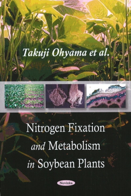 Nitrogen Fixation & Metabolism in Soybean Plants, Paperback / softback Book
