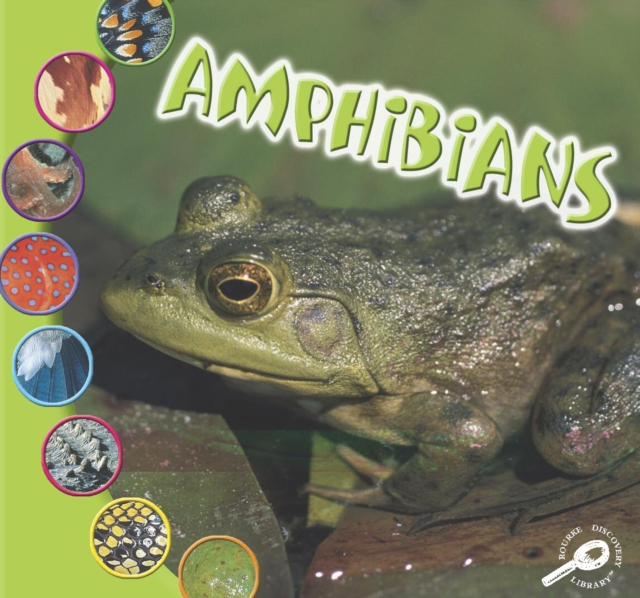 Amphibians, PDF eBook