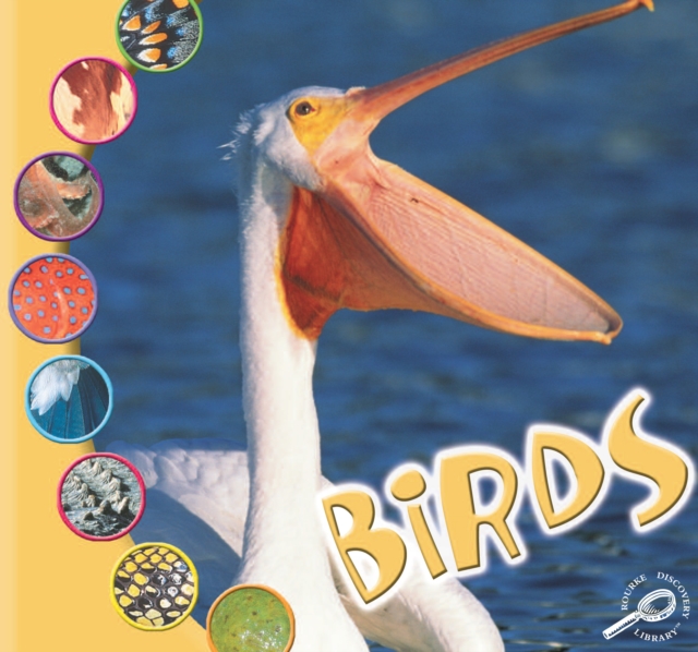 Birds, PDF eBook