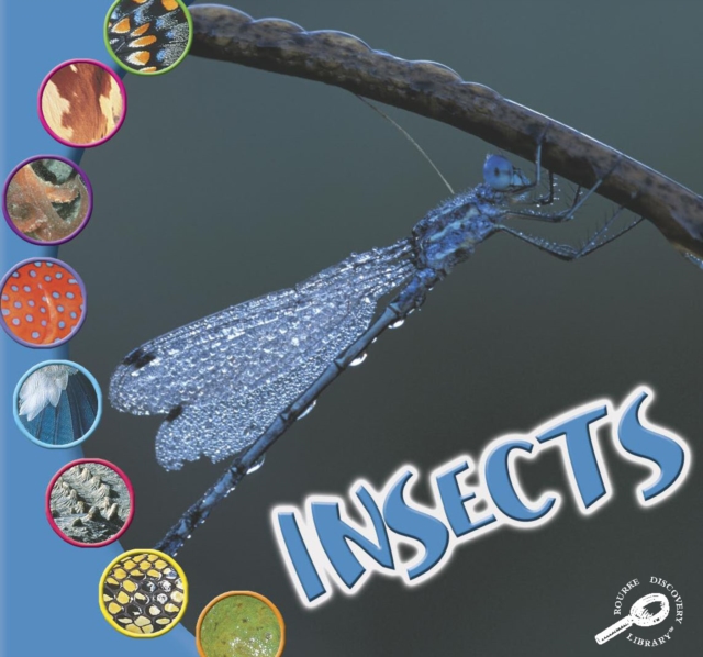 Insects, PDF eBook