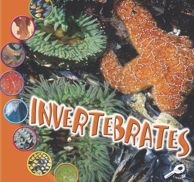 Invertebrates, PDF eBook