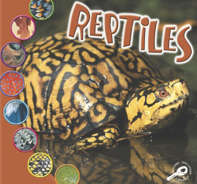 Reptiles, PDF eBook