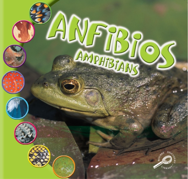 Anfibios : Amphibians, PDF eBook