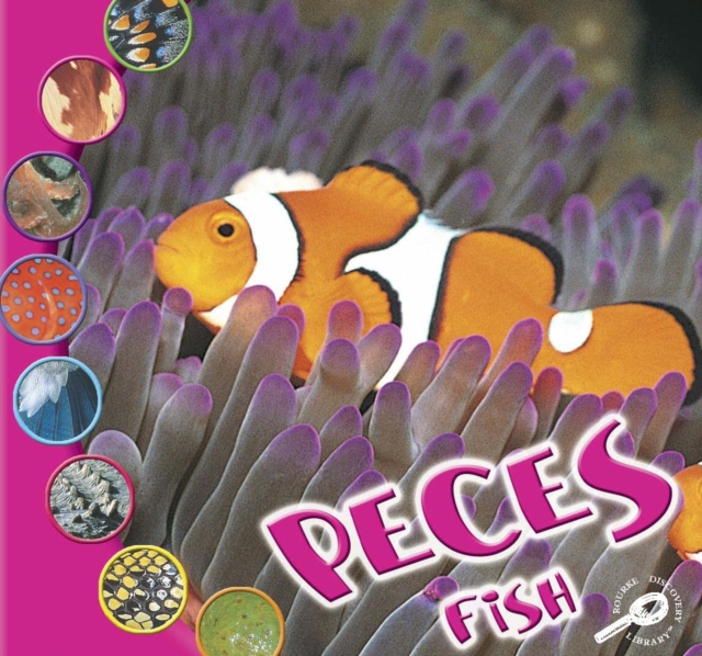 Peces : Fish, PDF eBook