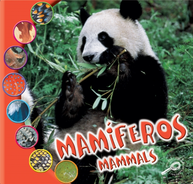 Mamiferos : Mammals, PDF eBook