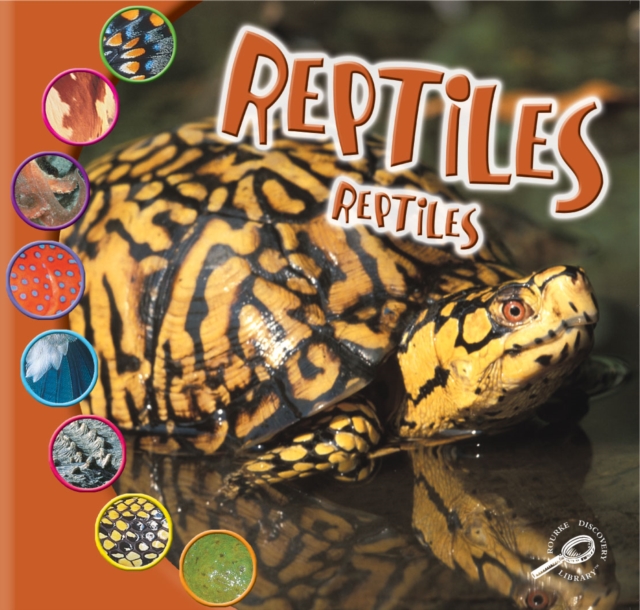 Reptiles : Reptiles, PDF eBook