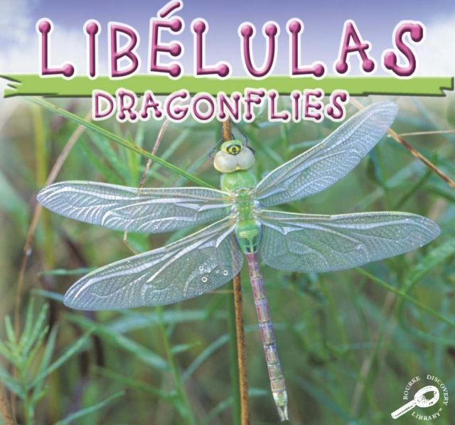Libelulas : Dragonflies, PDF eBook