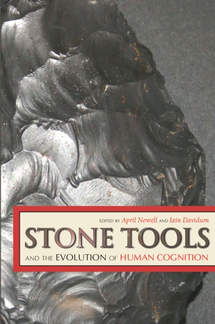 Stone Tools and the Evolution of Human Cognition, PDF eBook