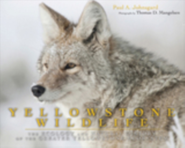Yellowstone Wildlife : Ecology and Natural History of the Greater Yellowstone Ecosystem, EPUB eBook