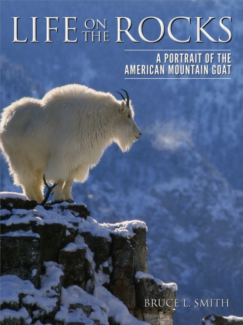 Life on the Rocks : A Portrait of the American Mountain Goat, Hardback Book