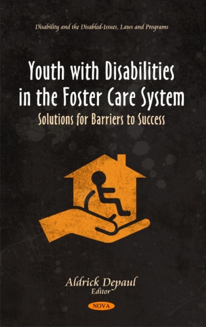 Youth with Disabilities in the Foster Care System : Solutions for Barriers to Success, Hardback Book