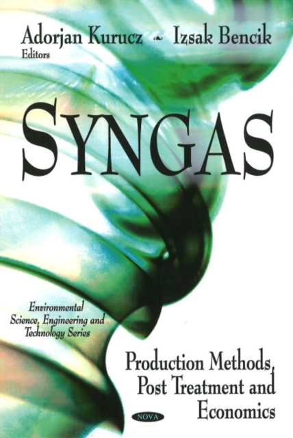 Syngas : Production Methods, Post Treatment & Economics, Hardback Book