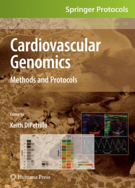 Cardiovascular Genomics : Methods and Protocols, Hardback Book