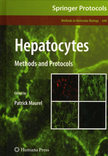 Hepatocytes : Methods and Protocols, Hardback Book