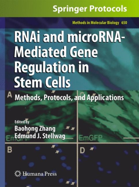 RNAi and microRNA-Mediated Gene Regulation in Stem Cells : Methods, Protocols, and Applications, Hardback Book