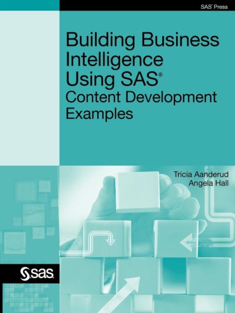Building Business Intelligence Using SAS : Content Development Examples, Paperback / softback Book