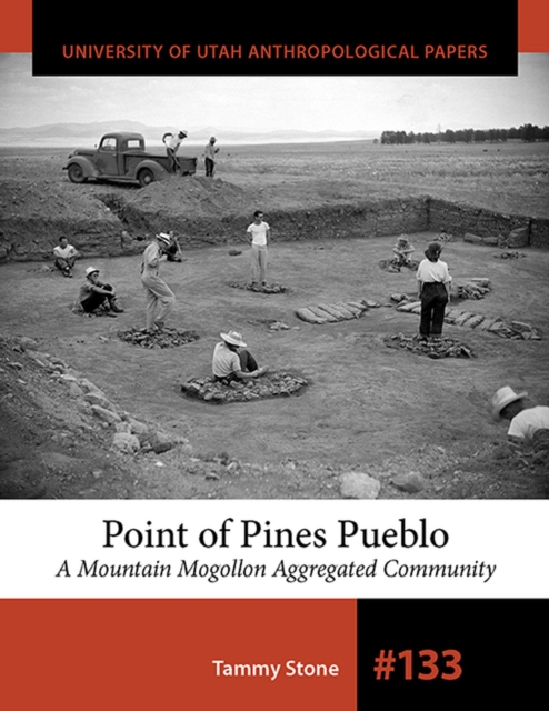 Point of Pines Pueblo : A Mountain Mogollon Aggregated Community, Paperback / softback Book